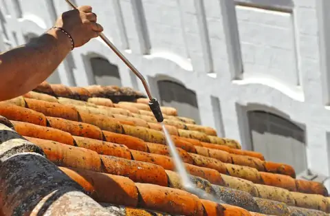 Nettoyage de toitures - Mamirolle